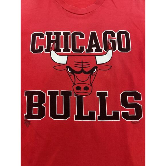Chicago Bulls T-Shirt Team Hanes Size Large Short Sleeve NBA Vintage - Picture 2 of 9